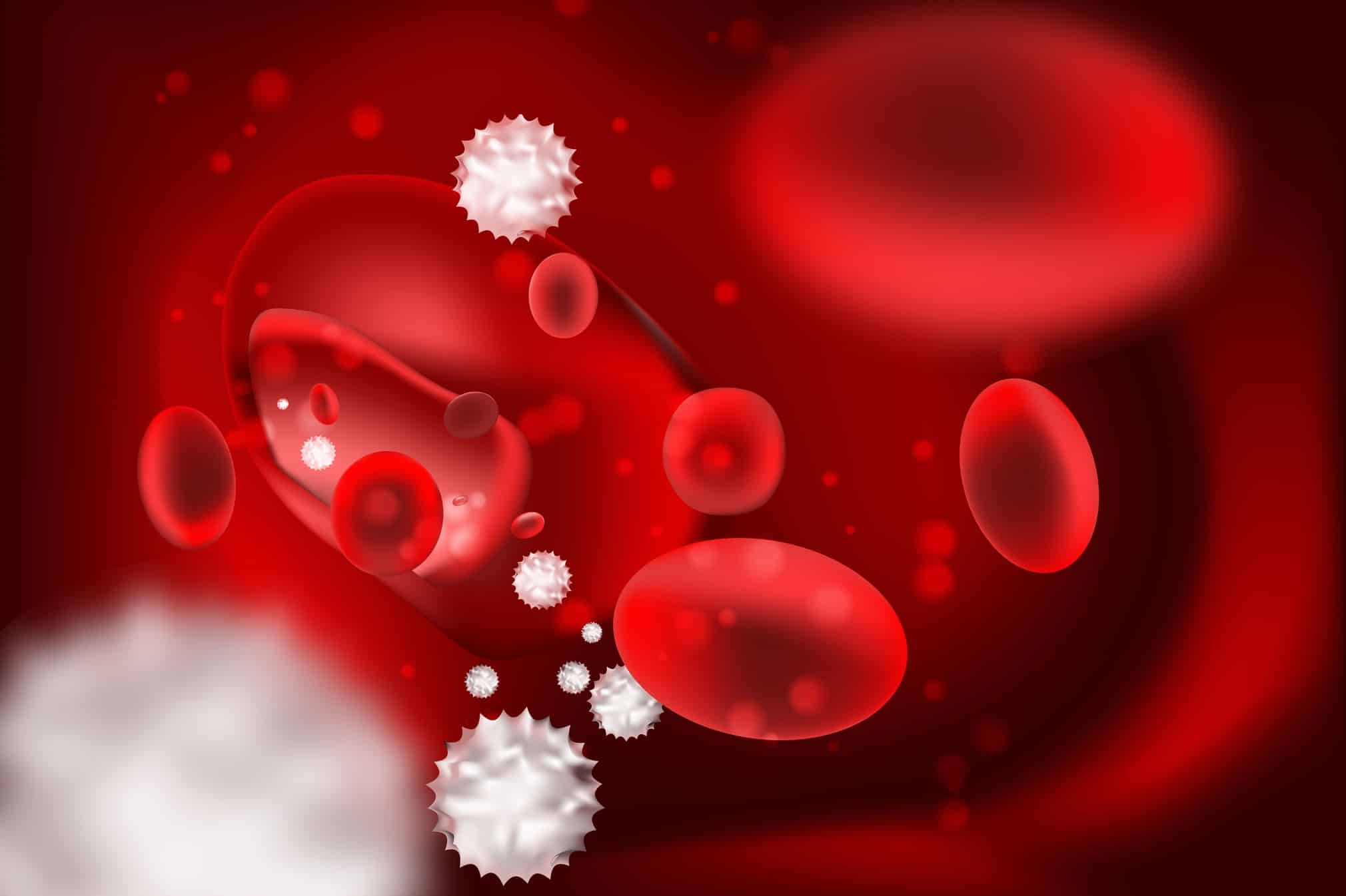 Maladie du sang ou hématologique : symptômes et traitement