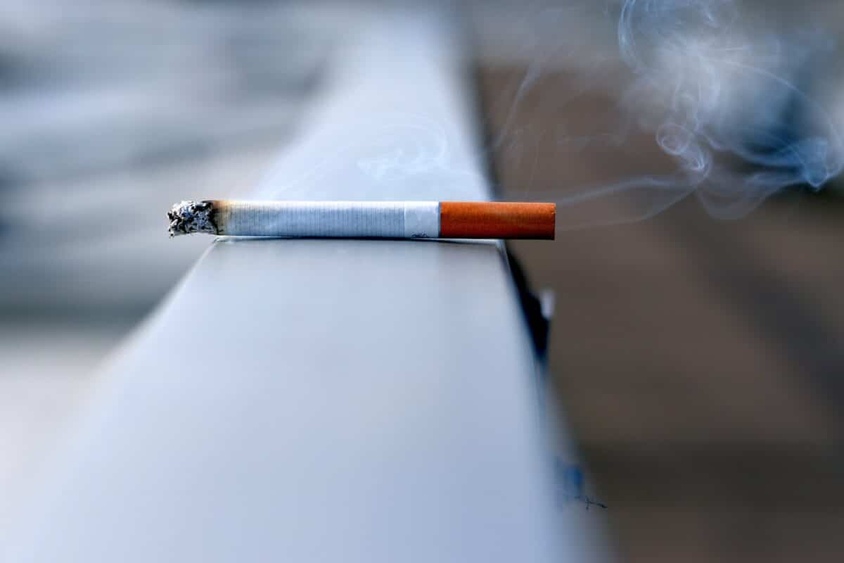 white cigarette stick on white wall